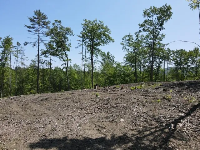 $139,000 | 0 Denio Road, Barnet, VT 05821