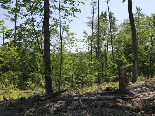 $139,000 | 0 Denio Road, Barnet, VT 05821