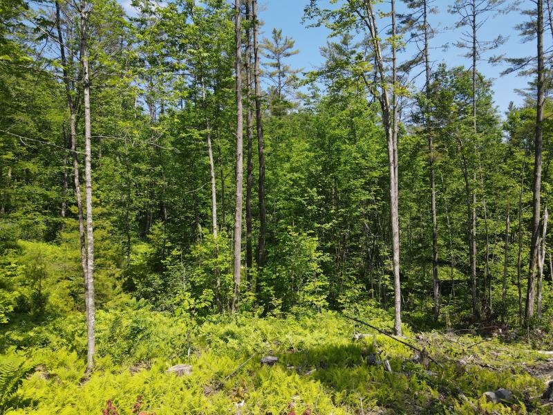 0 Denio Road Barnet, VT 05821 - Photo 8 of 24