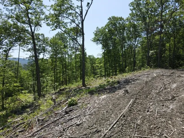 $139,000 | 0 Denio Road, Barnet, VT 05821