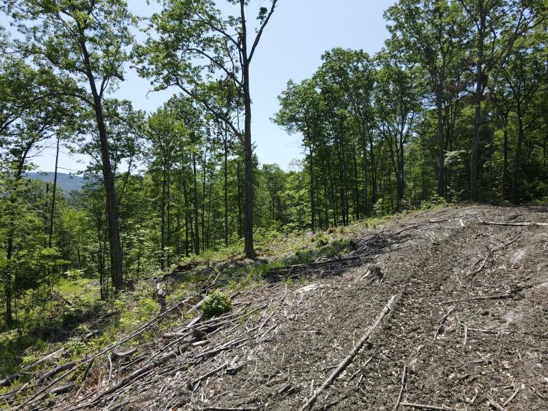 0 Denio Road Barnet, VT 05821 - Photo 9 of 24