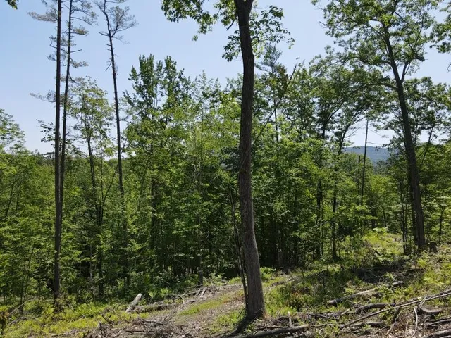 $139,000 | 0 Denio Road, Barnet, VT 05821