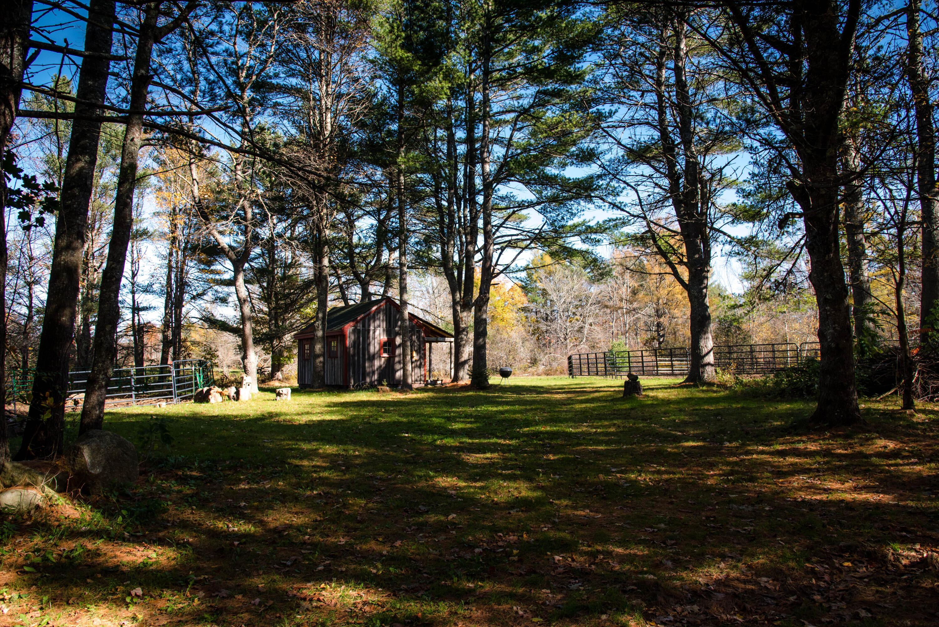 1539 Castine Road Penobscot, ME 04476 - Photo 12 of 52 13