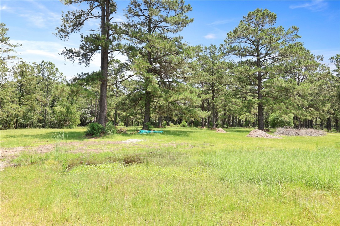 5747 Ogeechee Road Savannah, GA 31405 - Photo 43 of 48