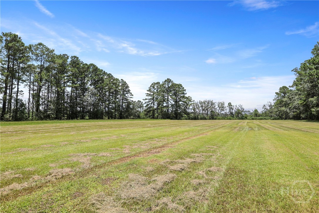 5747 Ogeechee Road Savannah, GA 31405 - Photo 46 of 48