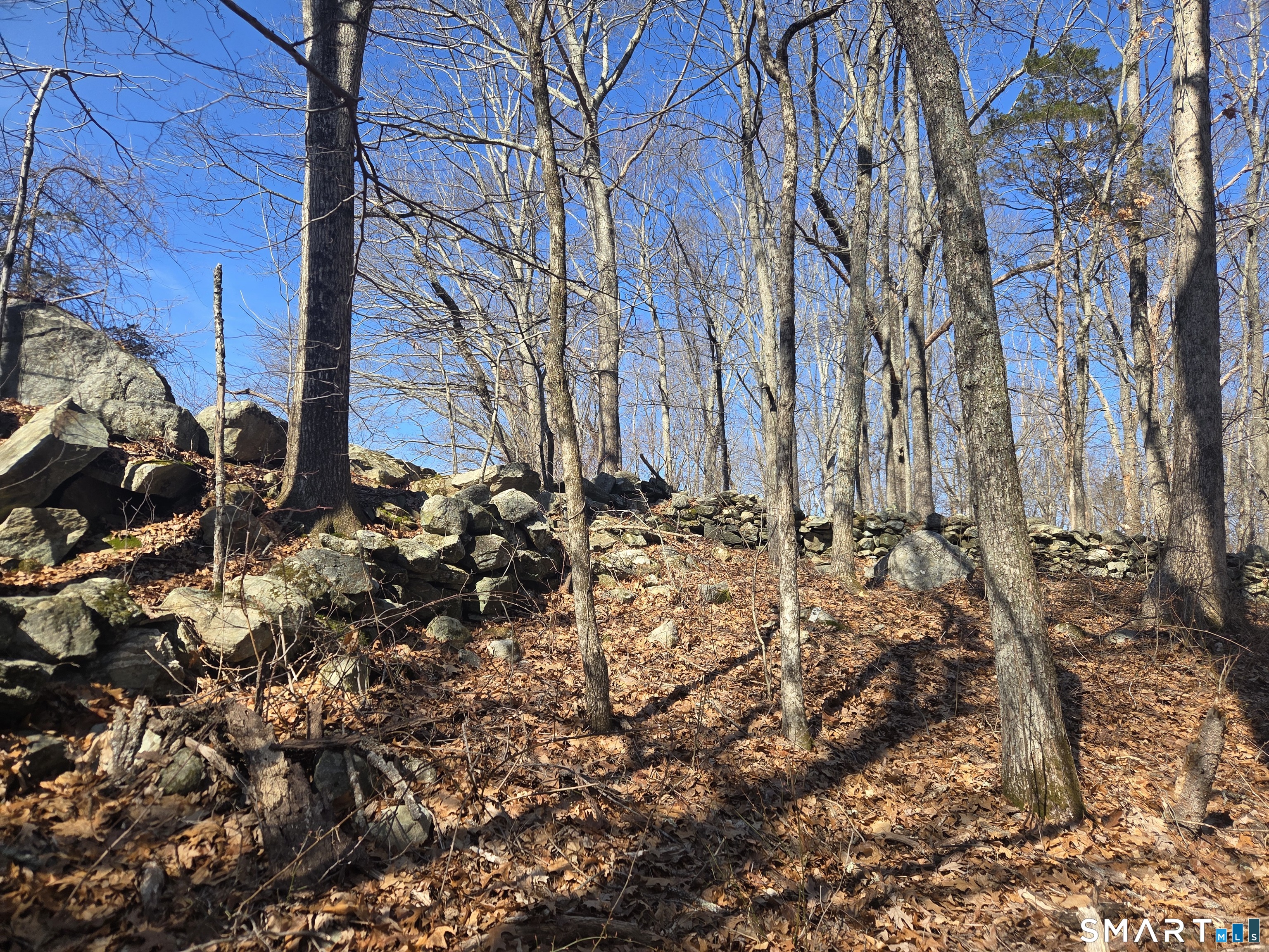 0 Green Hollow Road Moosup, CT 06354 - Photo 11 of 24 a view of covered with tall tree