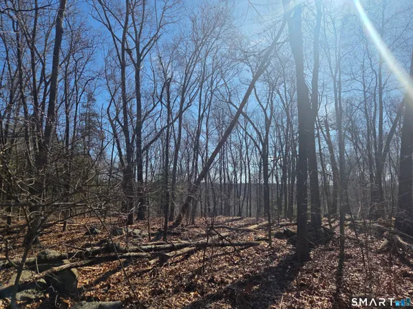 a view of a backyard of the house