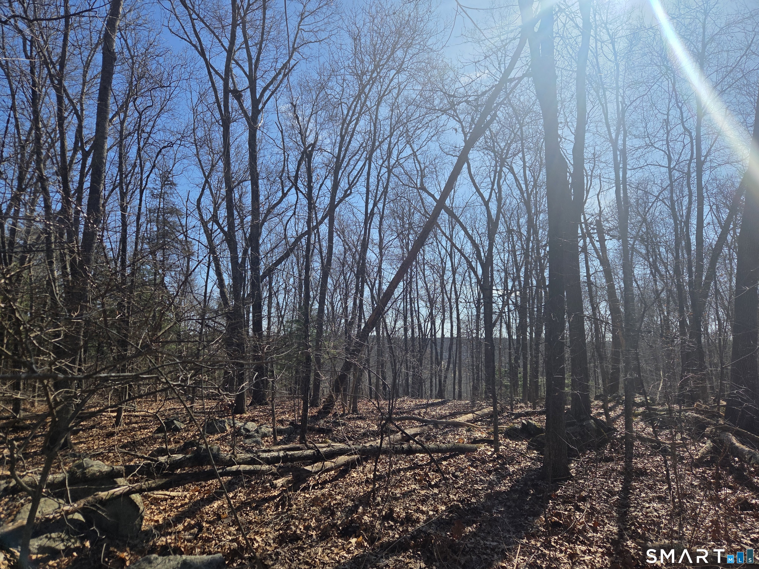 0 Green Hollow Road Moosup, CT 06354 - Photo 2 of 10