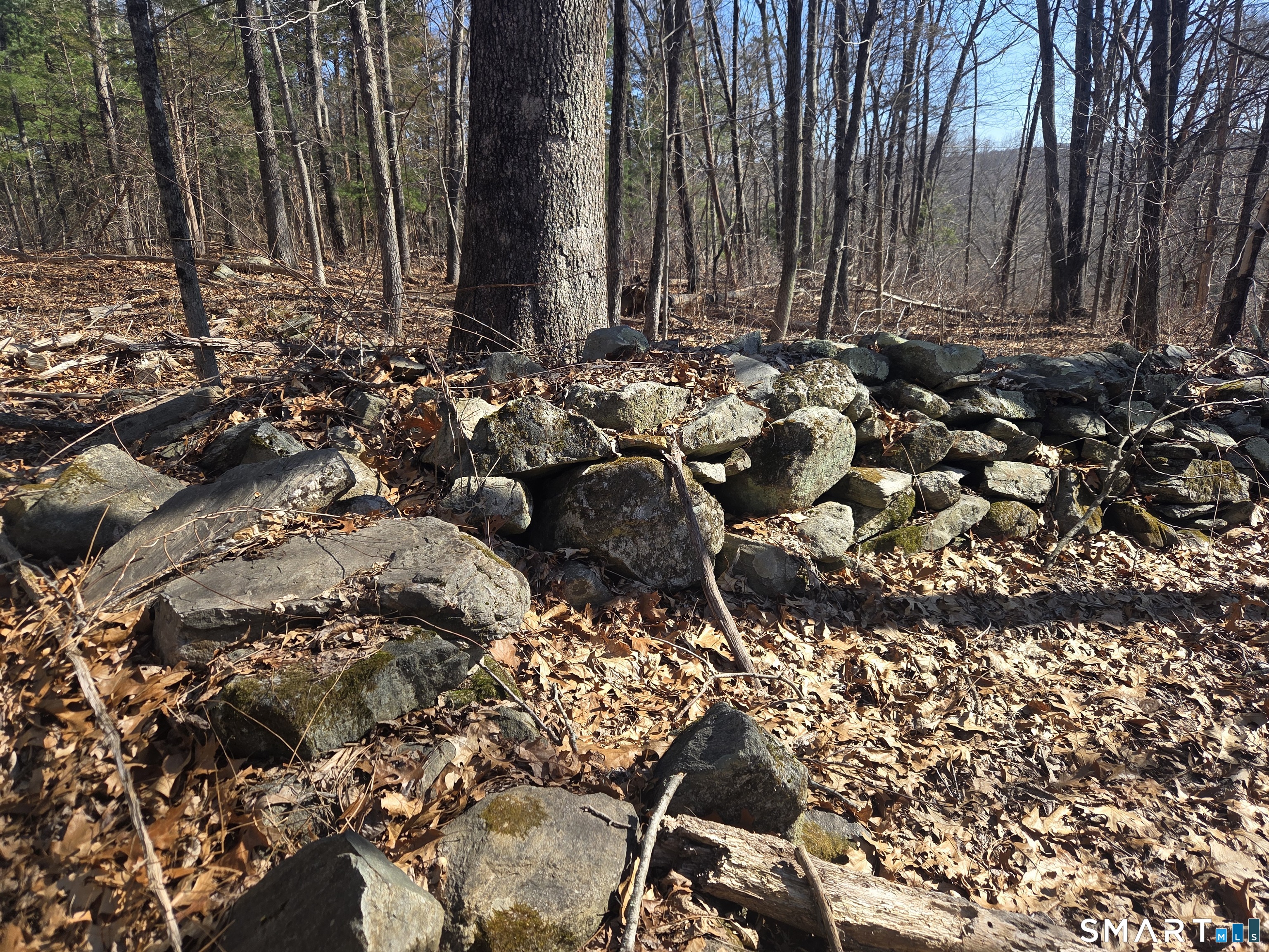 0 Green Hollow Road Moosup, CT 06354 - Photo 3 of 10