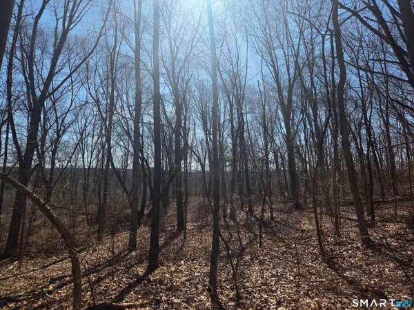 $96,000 | 0 Green Hollow Road, Moosup, CT 06354