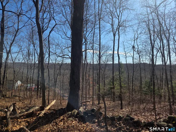 $96,000 | 0 Green Hollow Road, Moosup, CT 06354