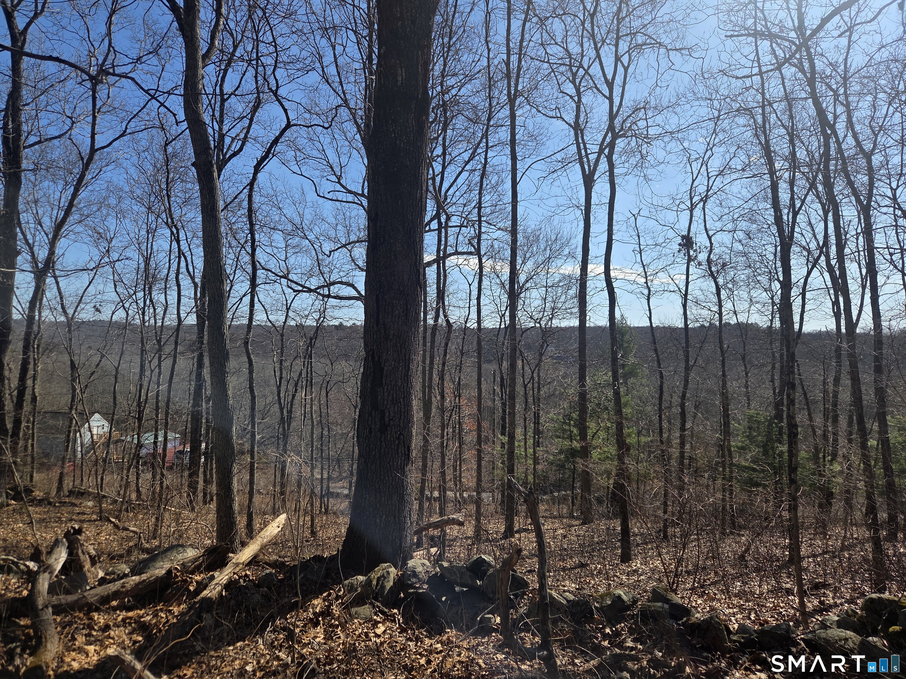 0 Green Hollow Road Moosup, CT 06354 - Photo 5 of 10