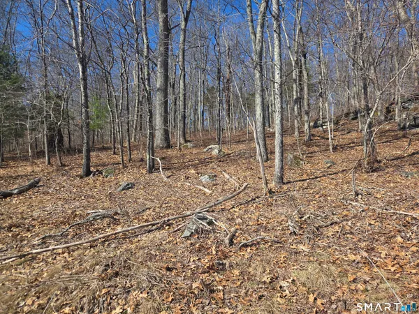 $96,000 | 0 Green Hollow Road, Moosup, CT 06354