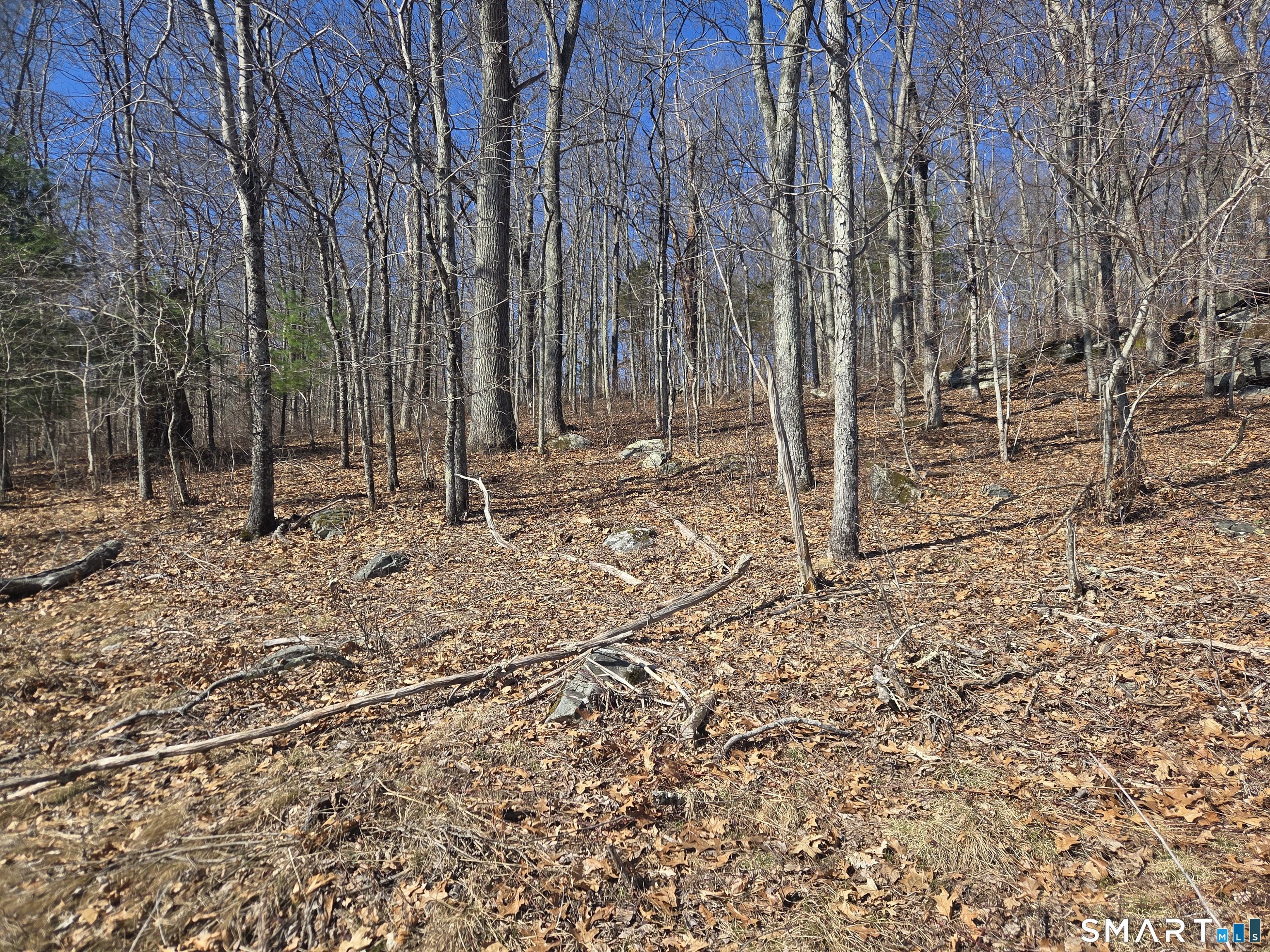 0 Green Hollow Road Moosup, CT 06354 - Photo 6 of 10