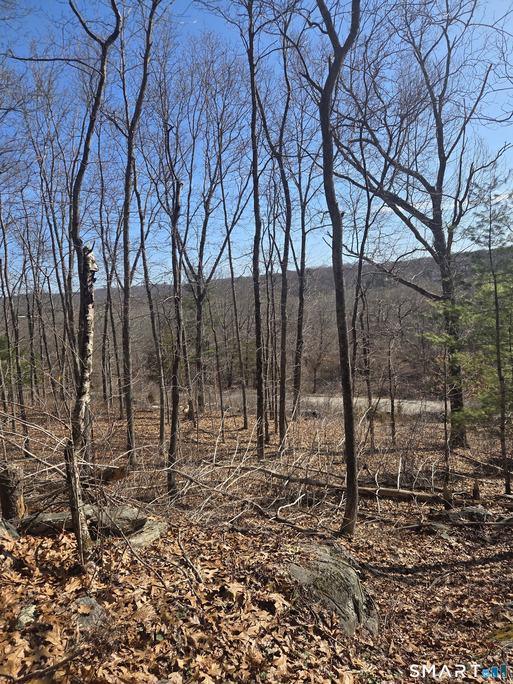 0 Green Hollow Road Moosup, CT 06354 - Photo 8 of 10