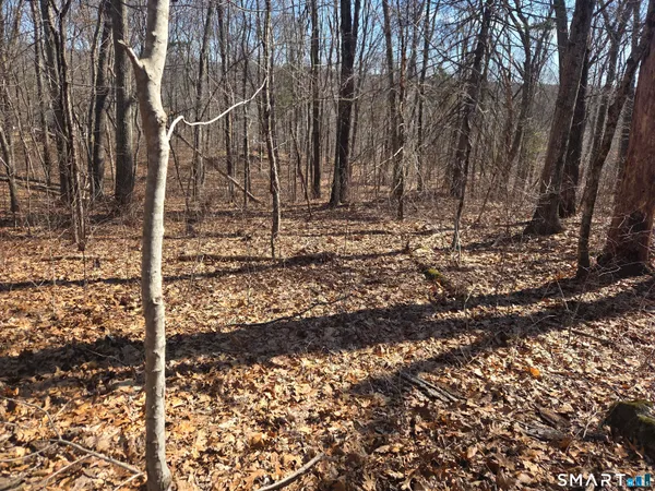 $96,000 | 0 Green Hollow Road, Moosup, CT 06354