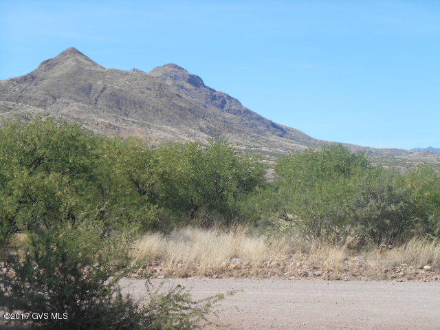 114 Circulo Penjamo Rio Rico, AZ 85648 - Photo 1 of 16 a view of a dry yard with mountain