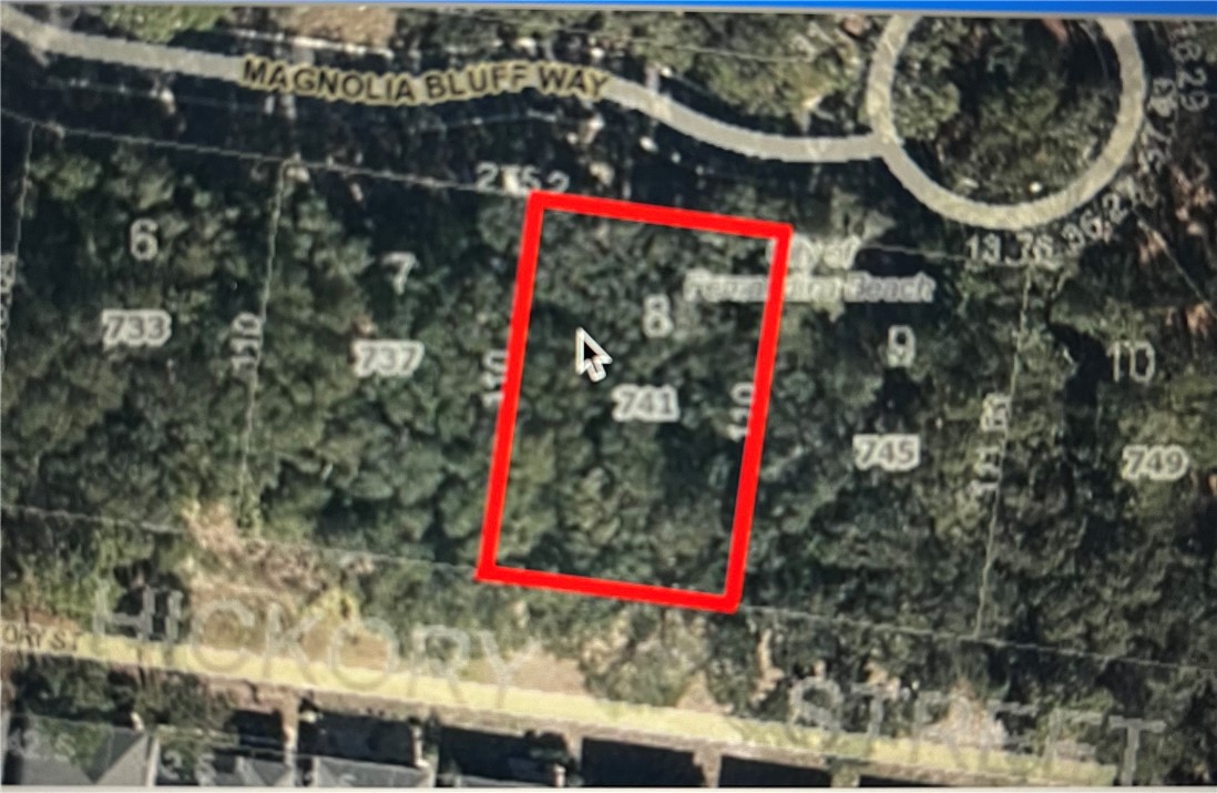 741 Magnolia Bluff Way Fernandina Beach, FL 32034 - Photo 1 of 1 a city view