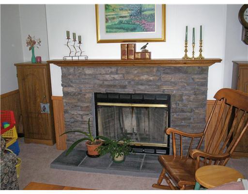 1023 Schendel Road Irwin, PA 15642 - Photo 5 of 16 Other. Family Room log-burning fireplace