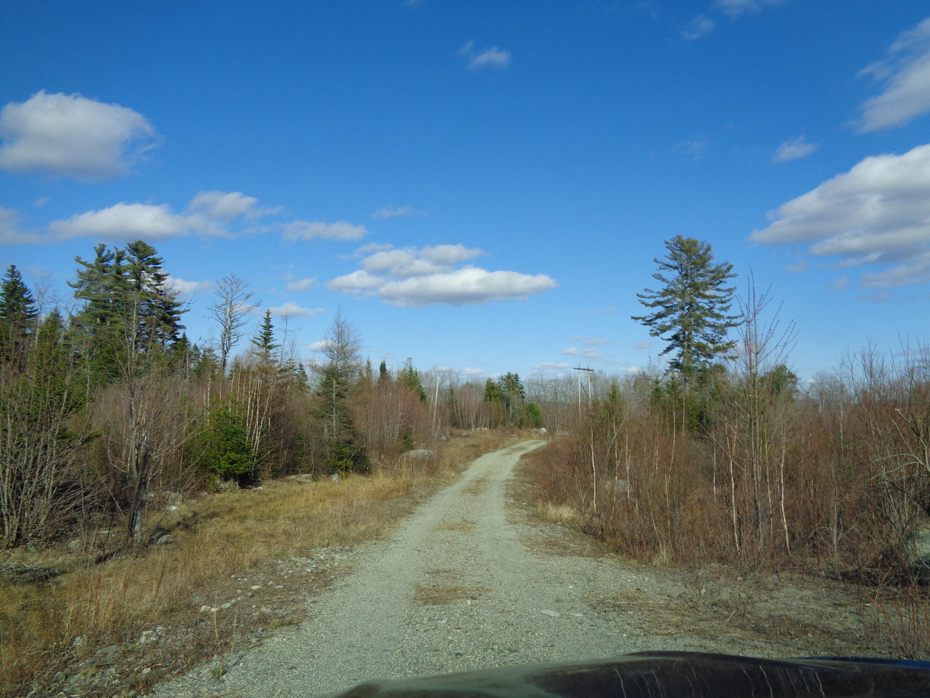 323 Moore Road Ellsworth, ME 04605 - Photo 17 of 28 Driveway