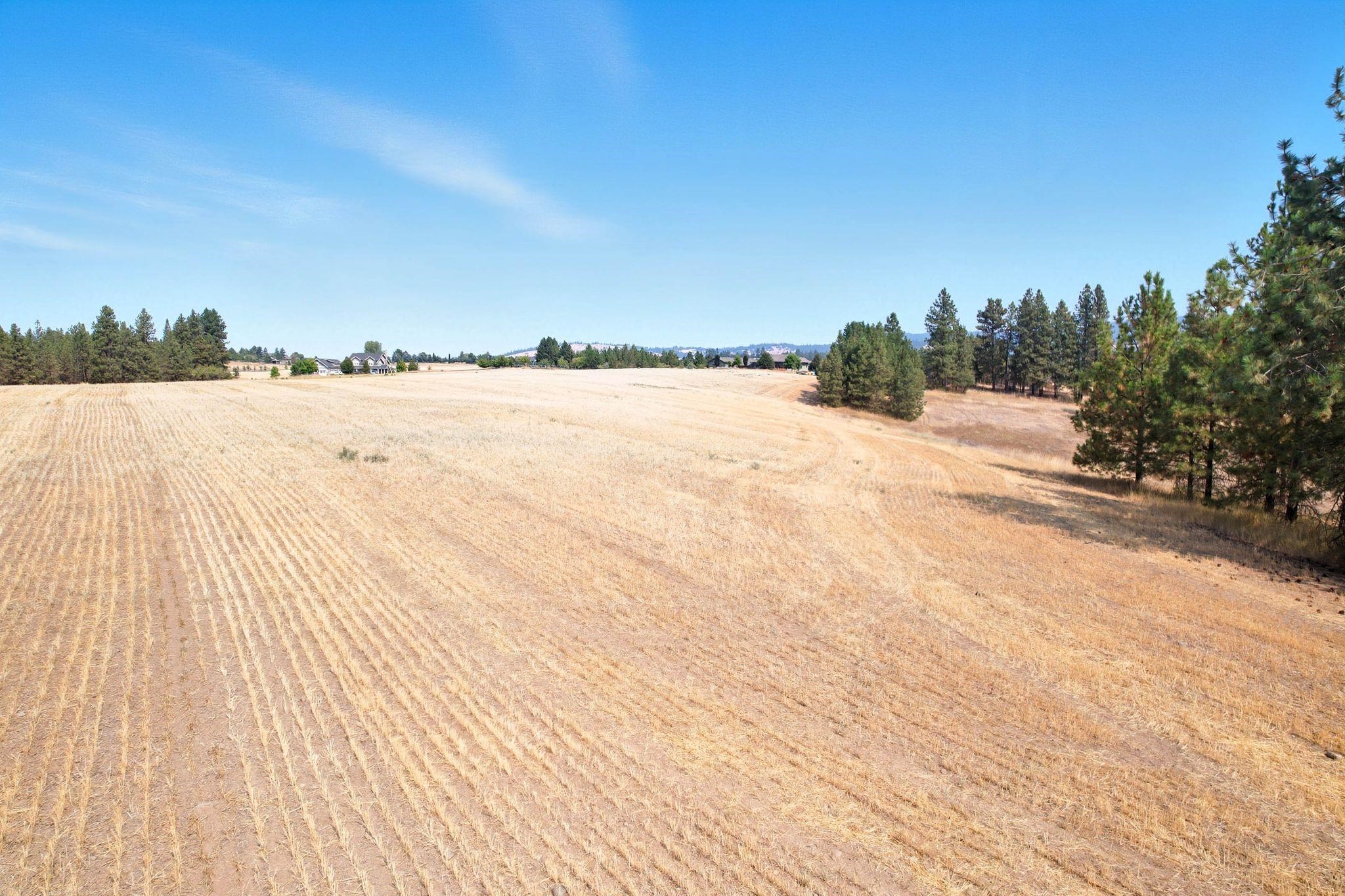 10612 South Baltimore Road Spokane, WA 99223 - Photo 11 of 15 Gallery Image 11
