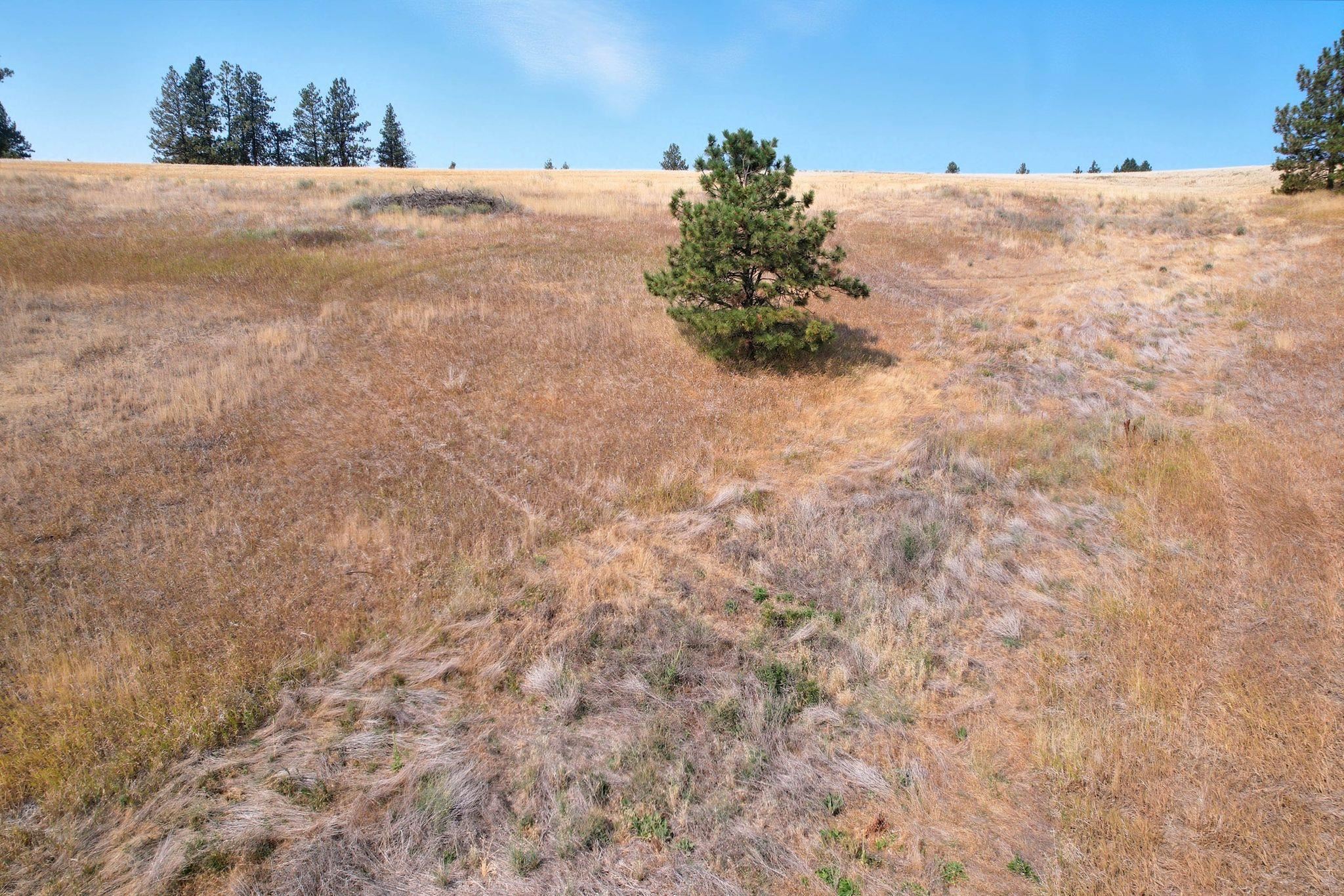 10612 South Baltimore Road Spokane, WA 99223 - Photo 15 of 15 Gallery Image 15