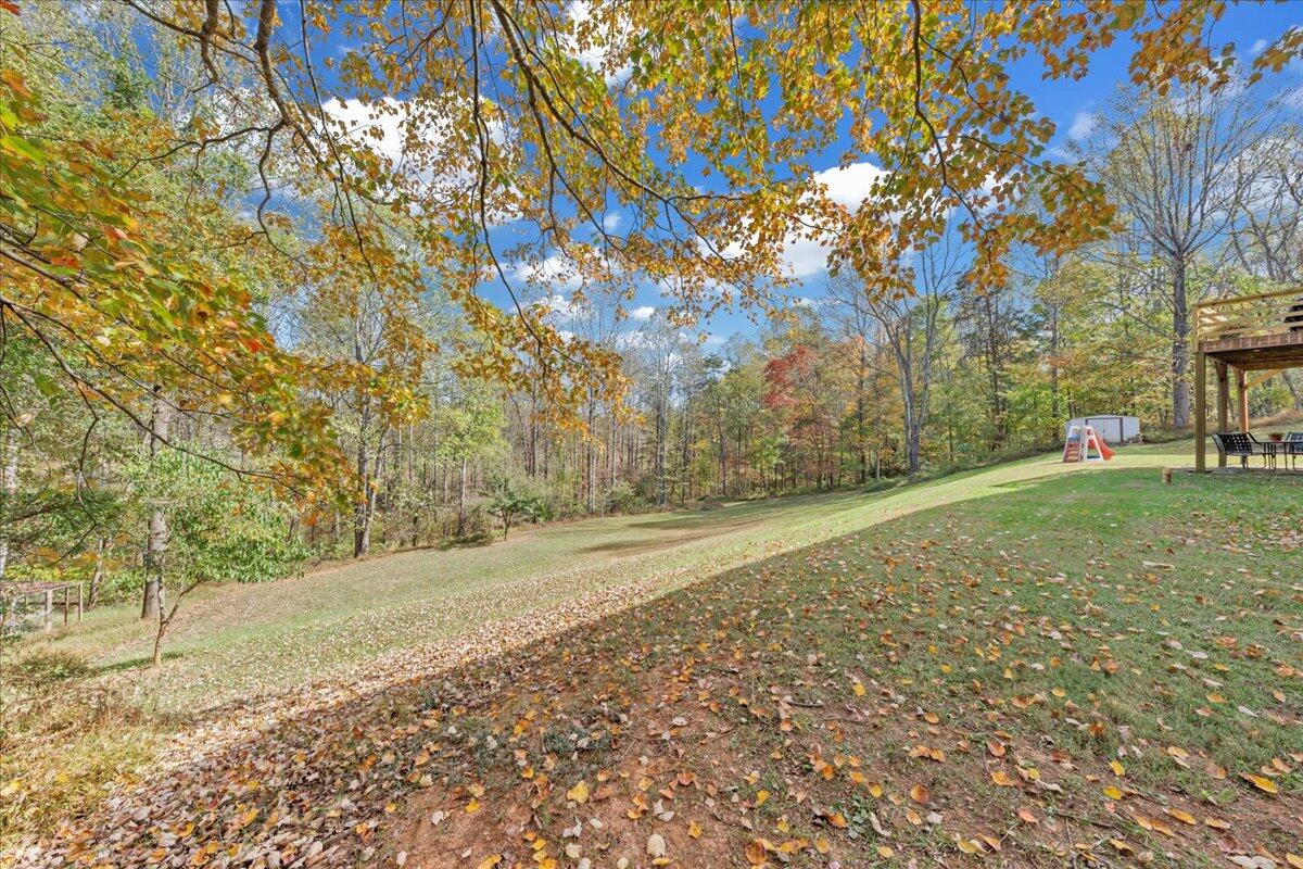 780 Farmington Road Hardy, VA 24101 - Photo 39 of 50 a view of a yard with a tree