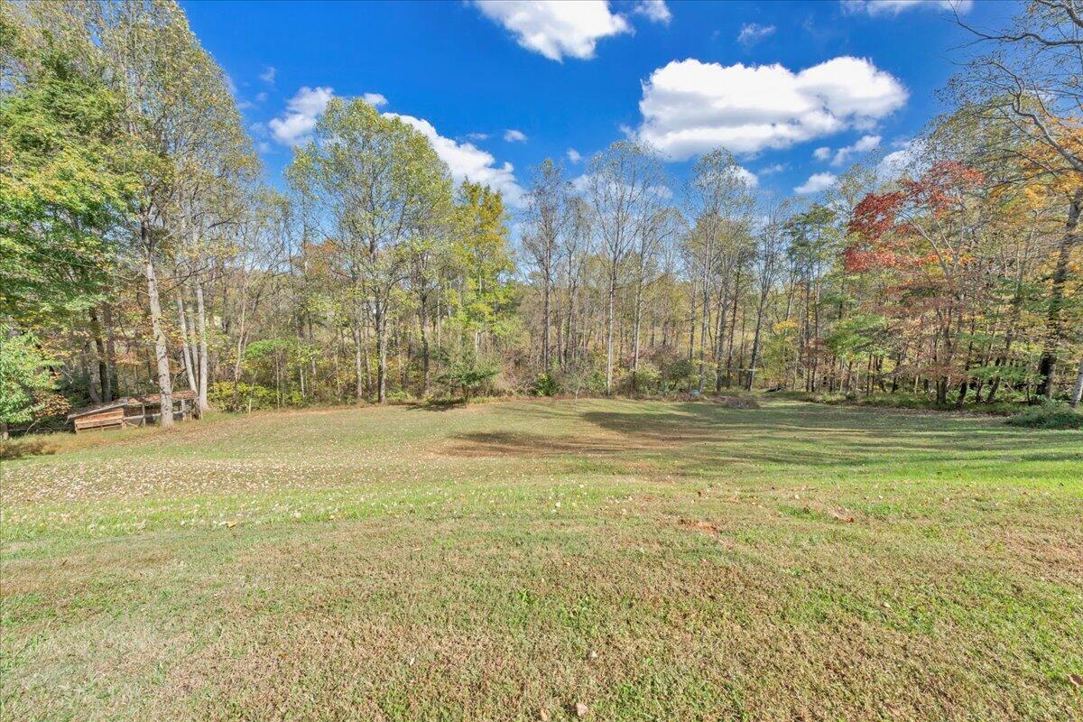780 Farmington Road Hardy, VA 24101 - Photo 42 of 50 a view of road with large trees