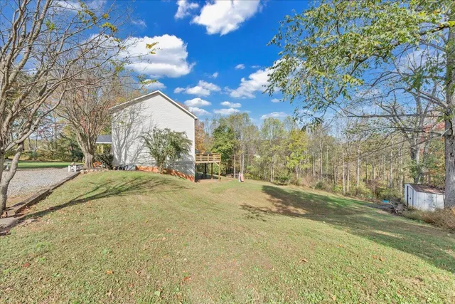 a view of a yard with plants and trees
