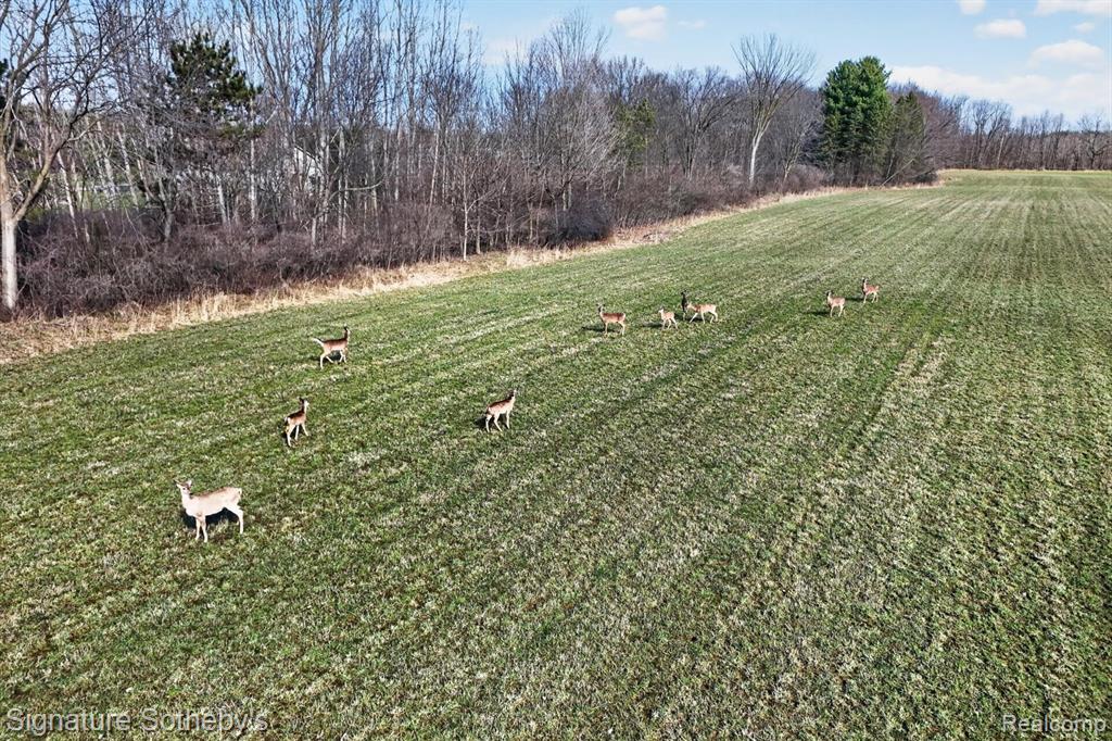 0 Brigham Road Goodrich, MI 48438 - Photo 5 of 9