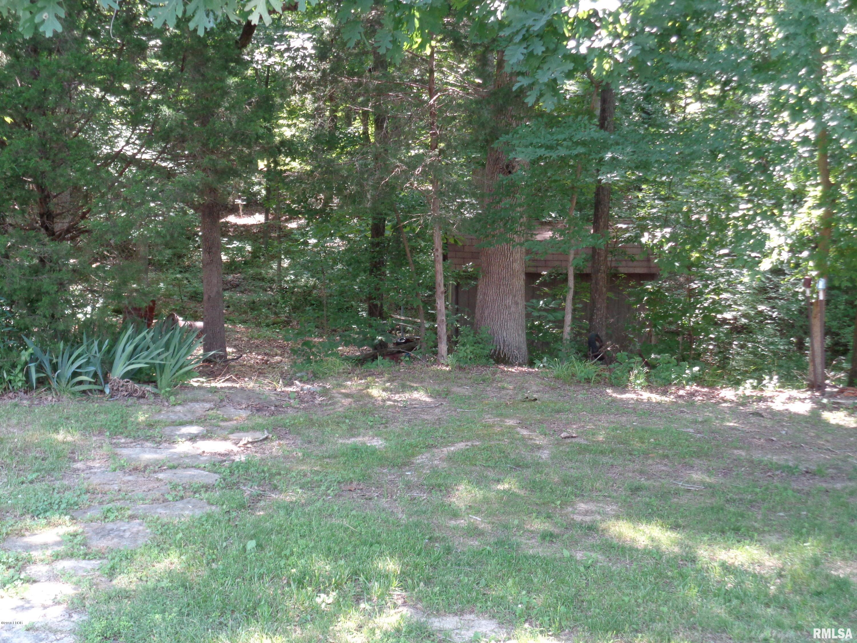 675 Reevesville Road Grantsburg, IL 62943 - Photo 4 of 50