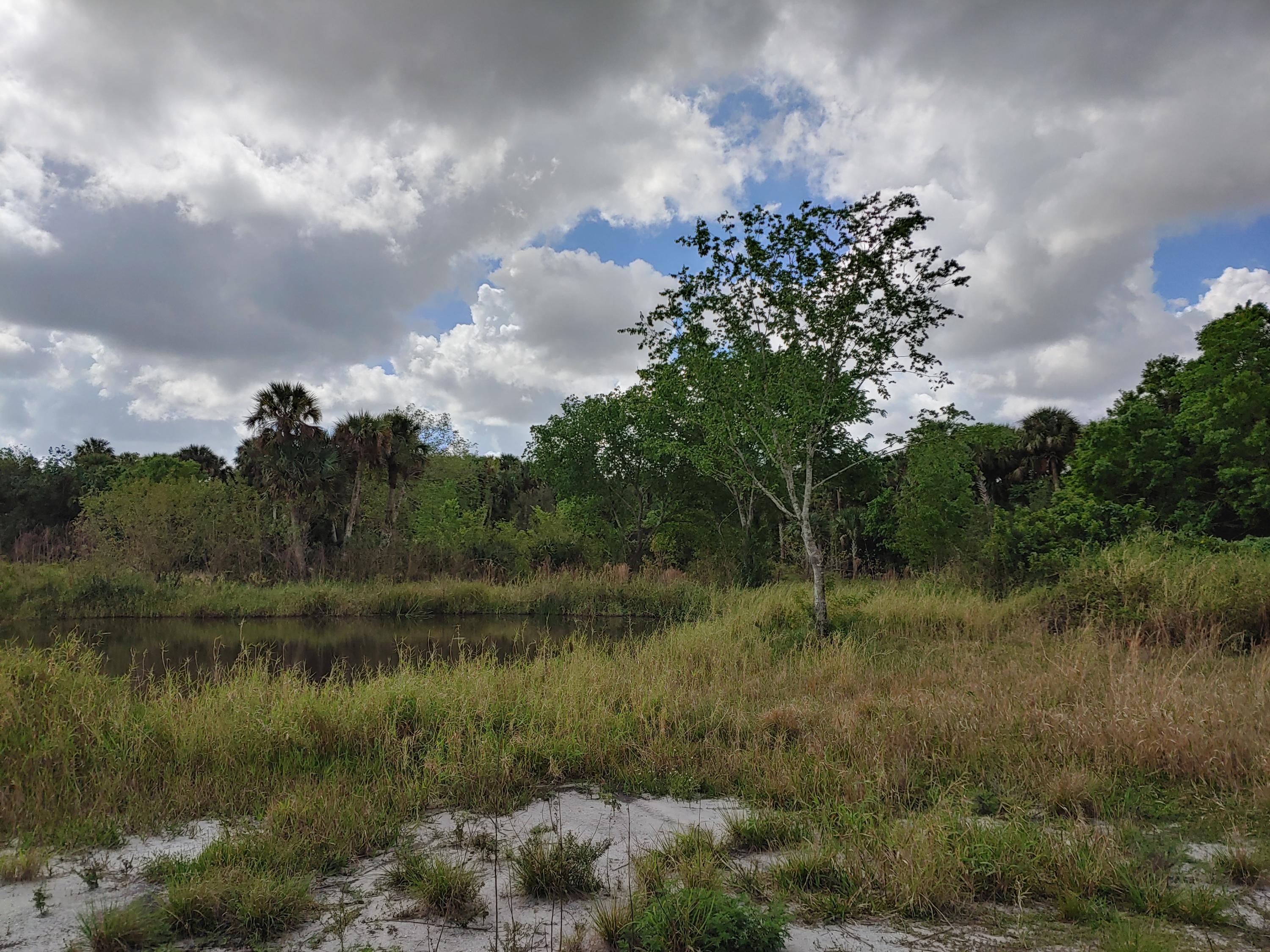 Tbd Tbd Germany Canal Road Fort Pierce, FL 34987 - Photo 3 of 3 0227211122a_HDR
