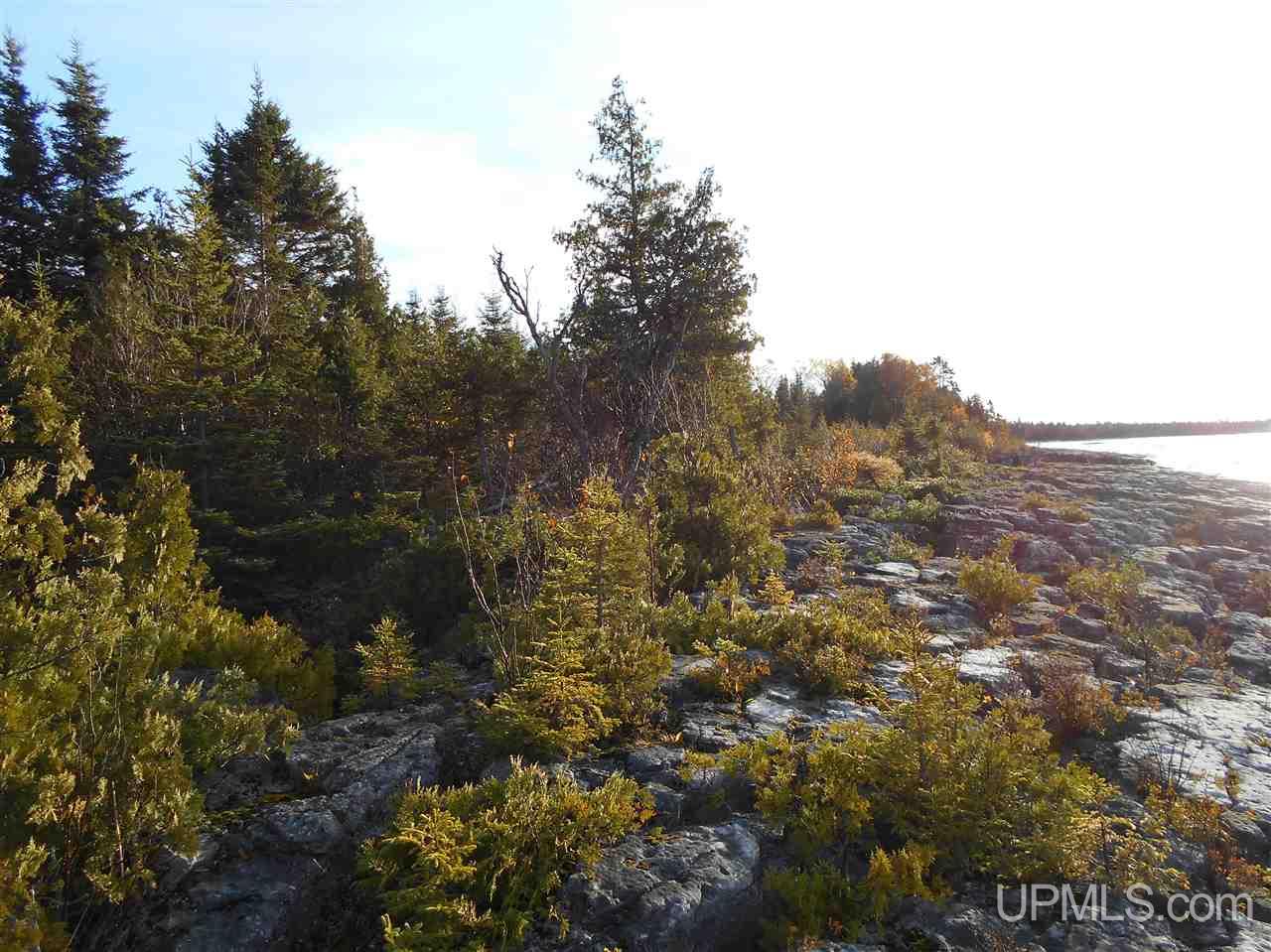 Tbd Co Rd 431 Gulliver, MI 49840 - Photo 4 of 10