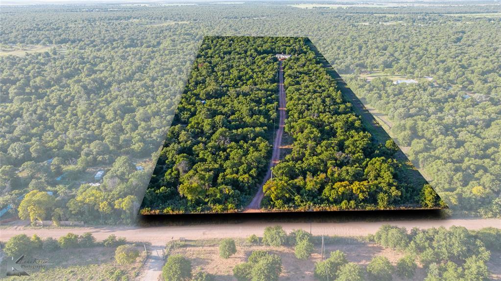 11569 County Road 356 Anson, TX 79501 - Photo 1 of 1 Bird's eye view of a forest