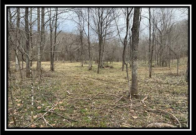 35471 Buck Run Road Langsville, OH 45741 - Photo 12 of 32