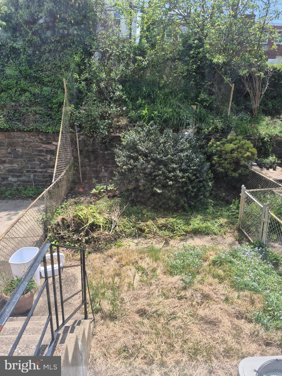 240 Rock Street Philadelphia, PA 19128 - Photo 23 of 27 Back yard