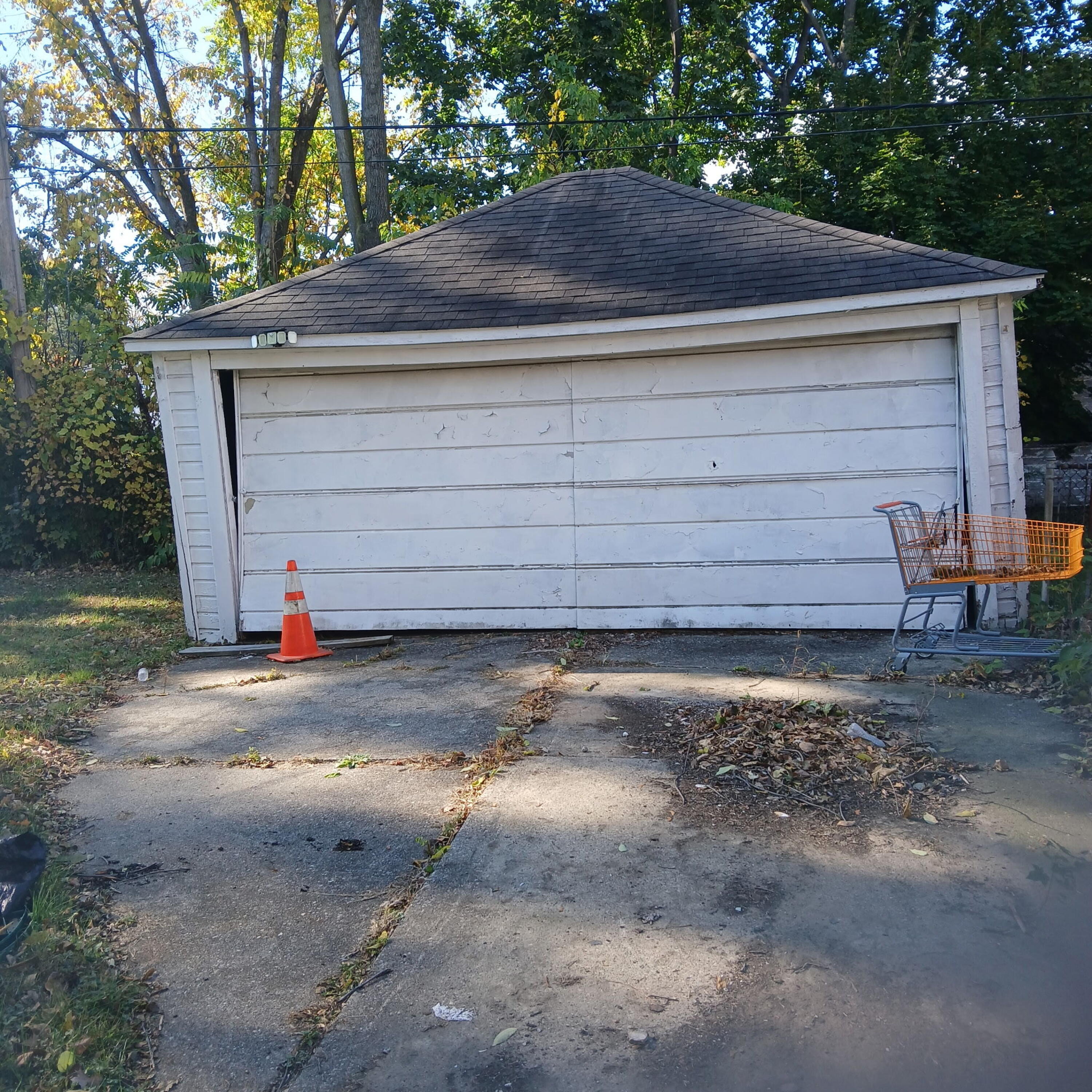 16201 Fielding Street Detroit, MI 48219 - Photo 5 of 8 6567513993149085639