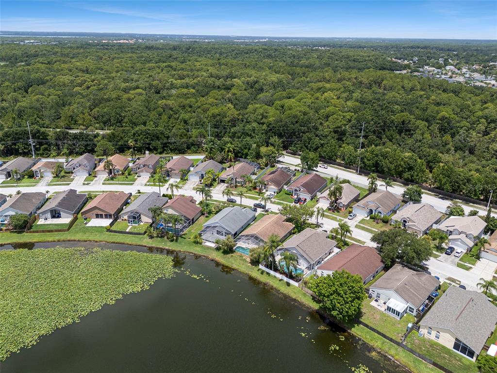 8512 Heyward Road Tampa, FL 33635 - Photo 60 of 73 Gallery Image 60