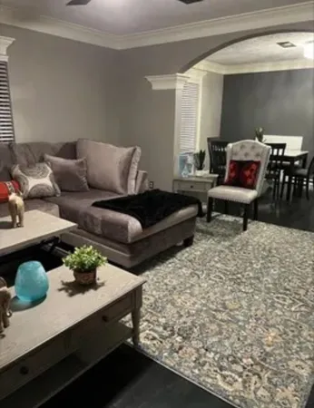 a living room with furniture potted plant and a window