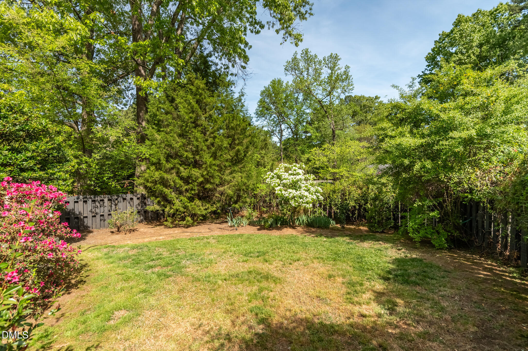 1902 White Plains Road Chapel Hill, NC 27517 - Photo 6 of 53 a view of backyard with green space