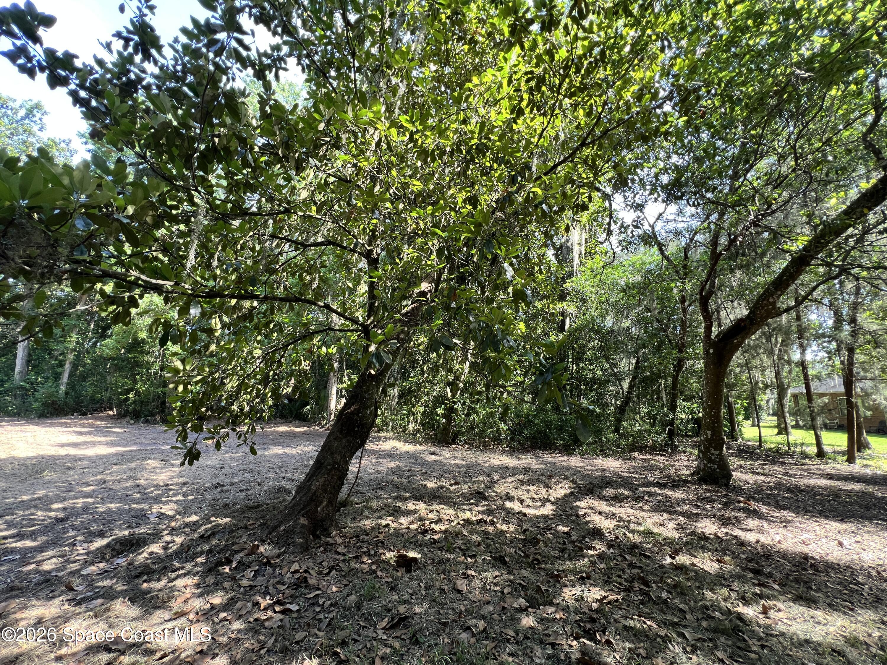 0 Carter Road Mims, FL 32754 - Photo 14 of 25 IMG_5410