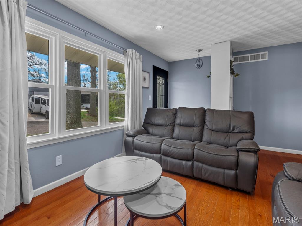 402 West Schaefer Street Columbia, IL 62236 - Photo 4 of 50