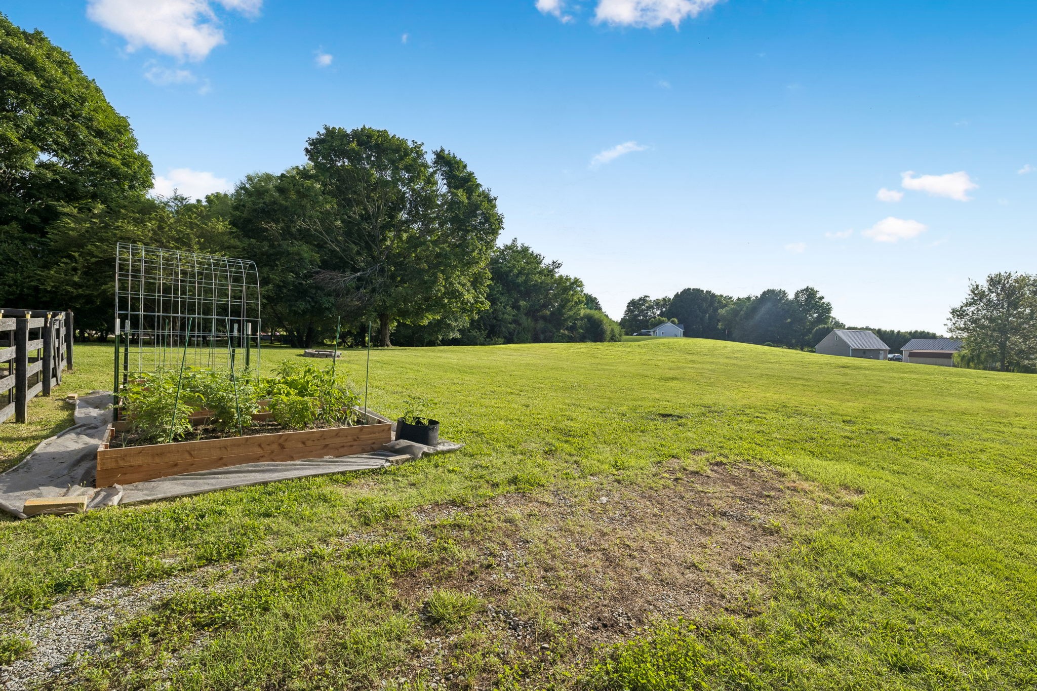 1326 Shahan Road Pleasant View, TN 37146 - Photo 38 of 41 a view of yard with swimming pool and green space