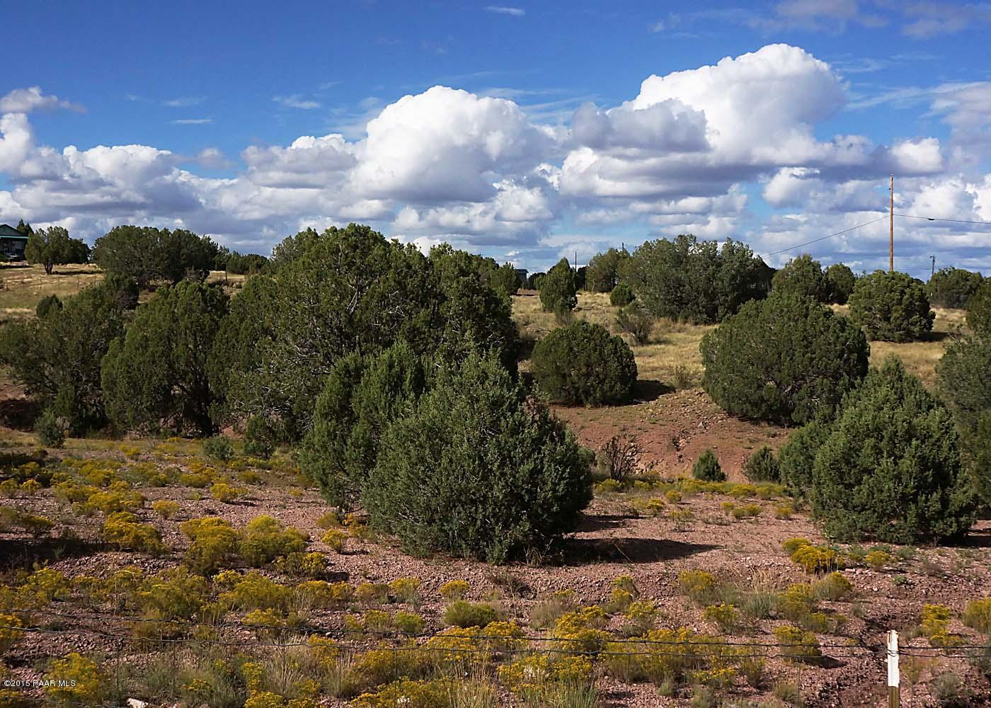 0 West Eagle Ridge Road Chino Valley, AZ 86323 - Photo 3 of 10 Blanco Land #1 looking North