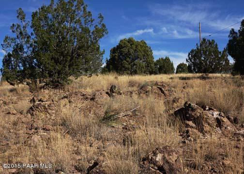 0 West Eagle Ridge Road Chino Valley, AZ 86323 - Photo 7 of 10 Land General Pictures #1