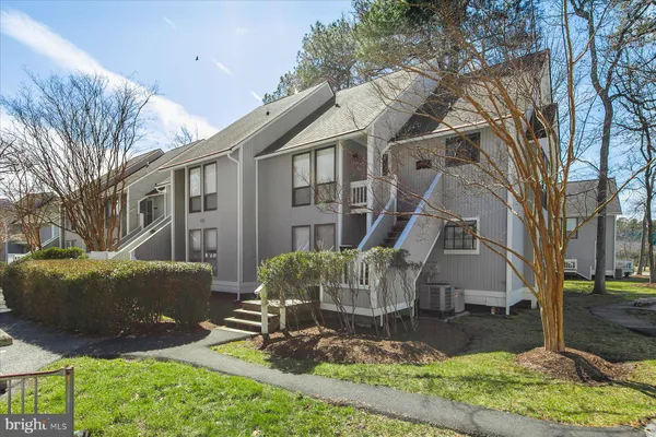 a view of a house with backyard and a tree
