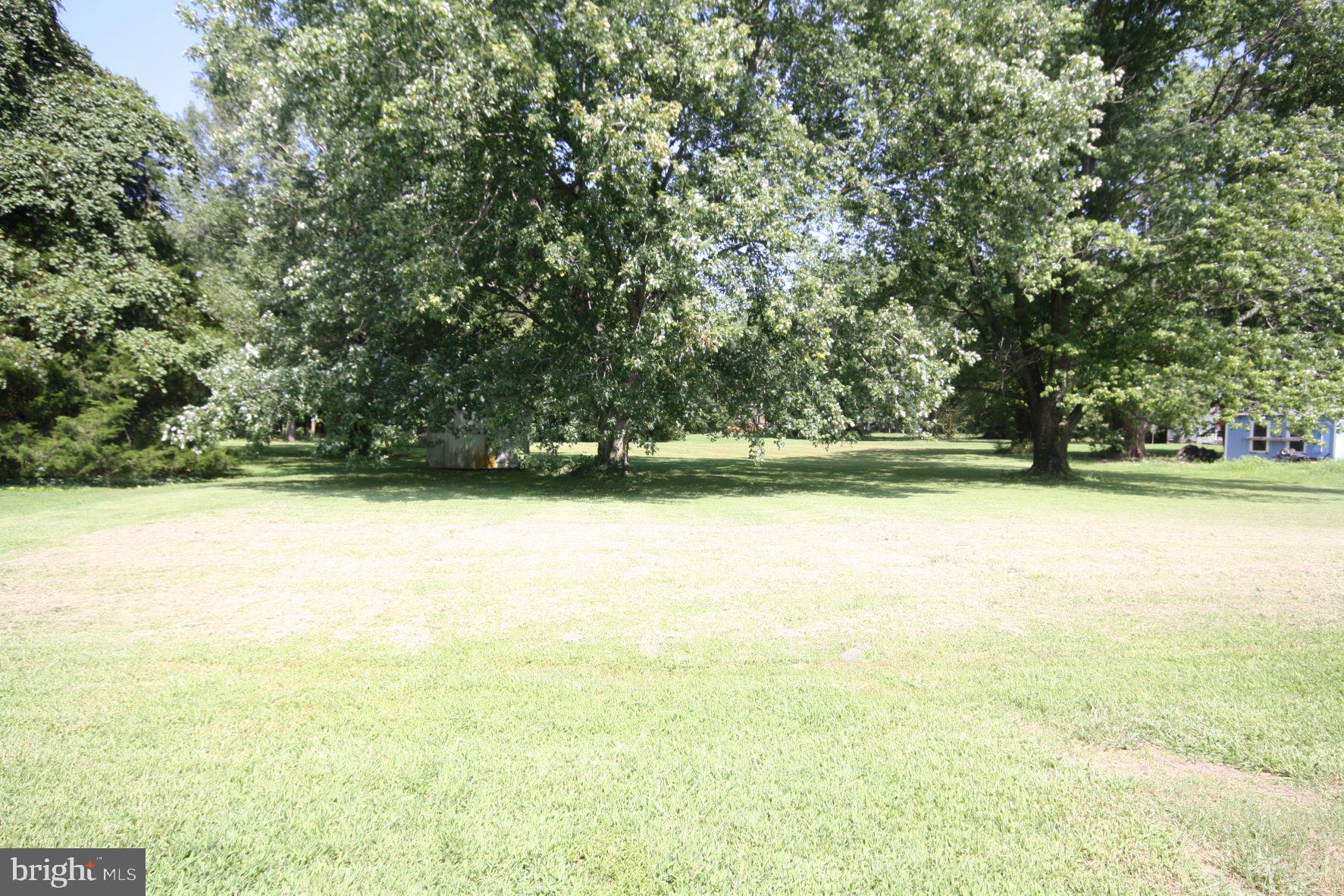 9660 Tilghman Island Road McDaniel, MD 21647 - Photo 11 of 11 Yard