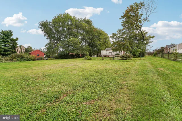 a view of a field with an trees in the background