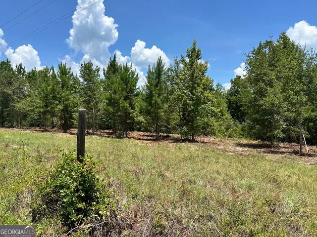 a view of a yard with a tree