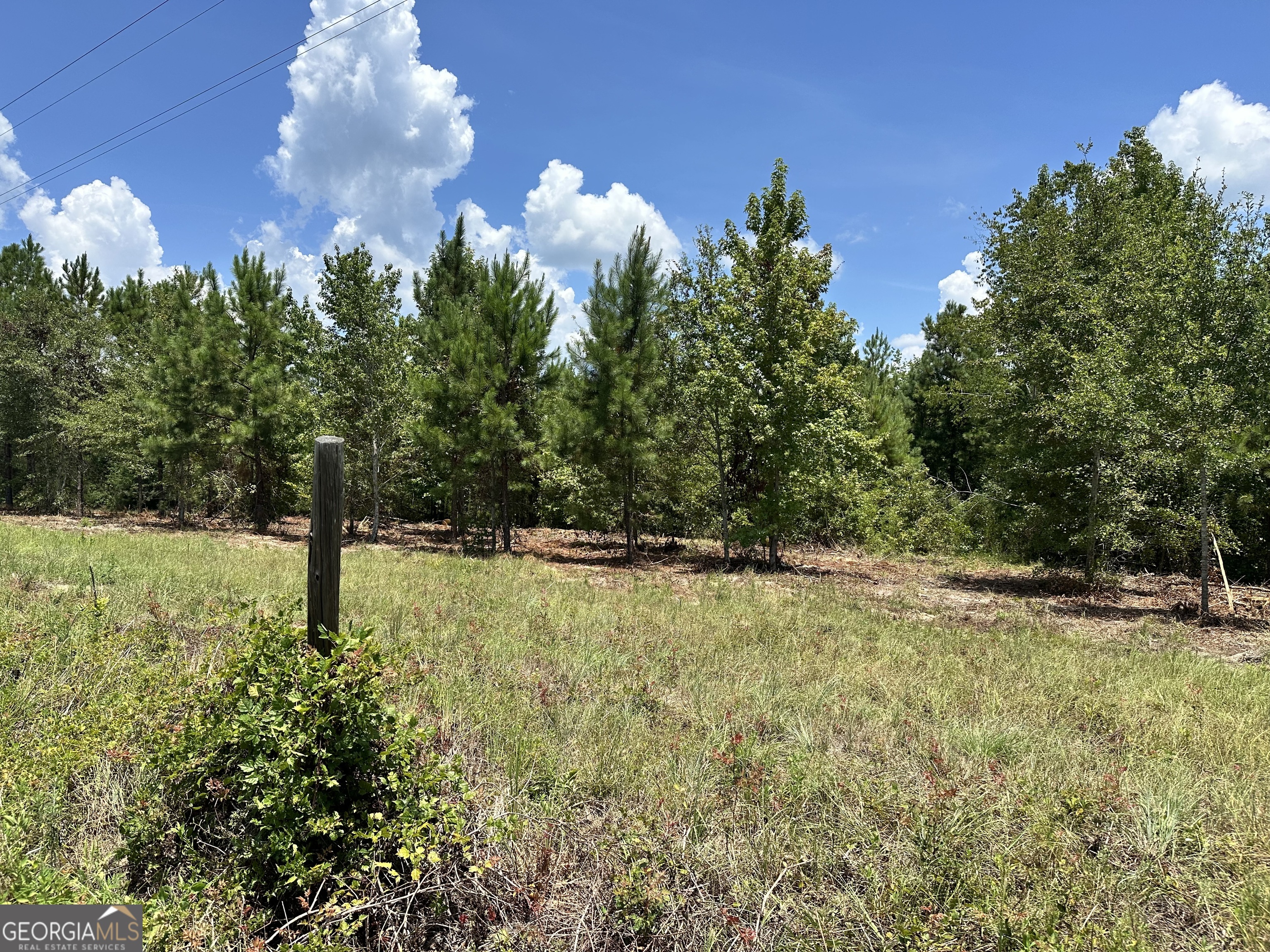0 Highway 19 Dublin, GA 31021 - Photo 4 of 5 a view of a yard with a tree